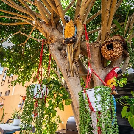 Ke Casetta Tenerife Salvador And Santiago Apartments Las Rosas  Екстериор снимка