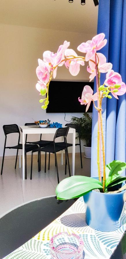 Ke Casetta Tenerife Salvador And Santiago Apartments Las Rosas  Екстериор снимка